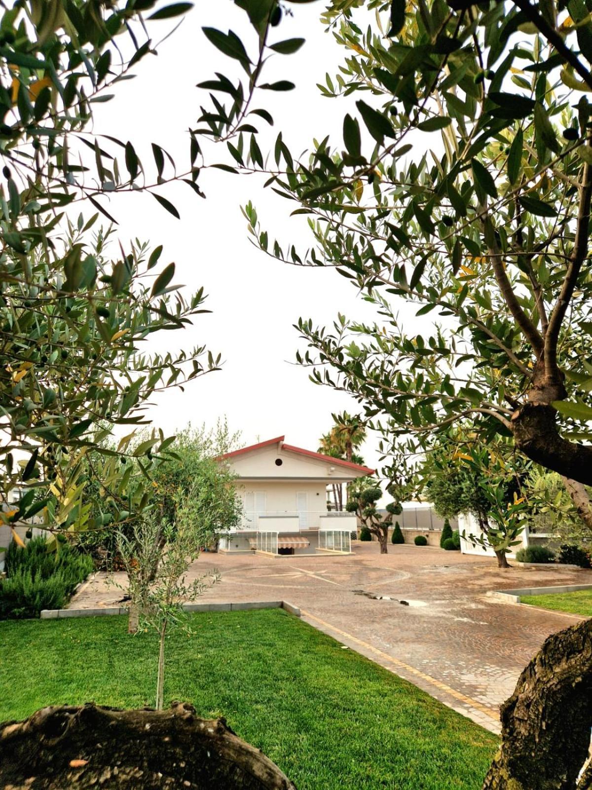 Corte D'Aniello Scafati Eksteriør bilde